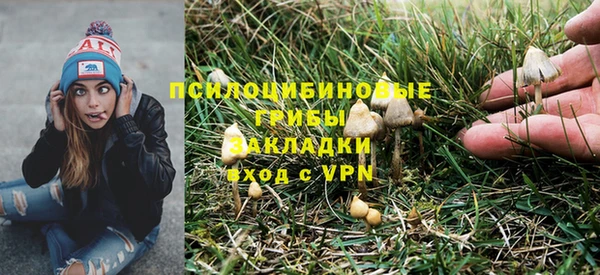 крисы Михайловка