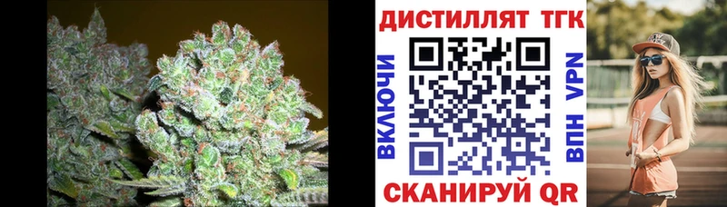 ТГК концентрат  магазин    Руза 